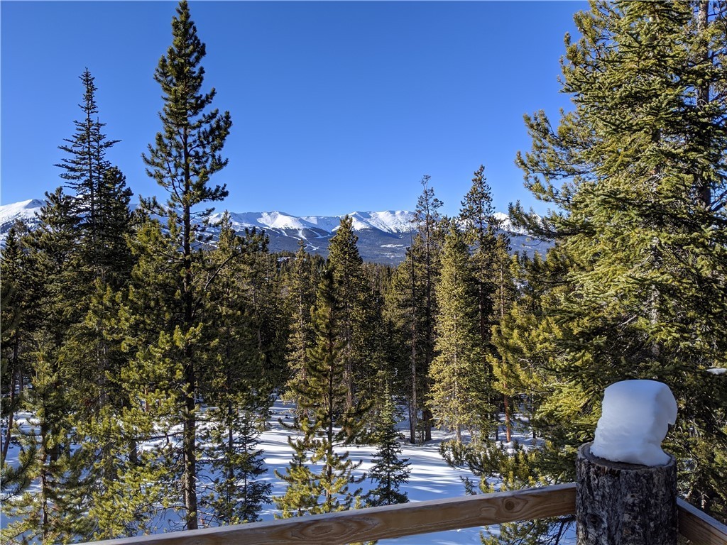0170 Berlin Placer Road A Luxury Single Family Home For Sale In Breckenridge コロラド Property Id S Christie S International Real Estate
