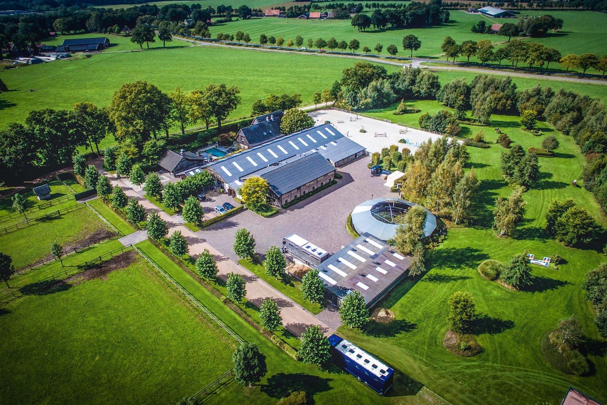 19+ Equestrian stables to rent surrey info