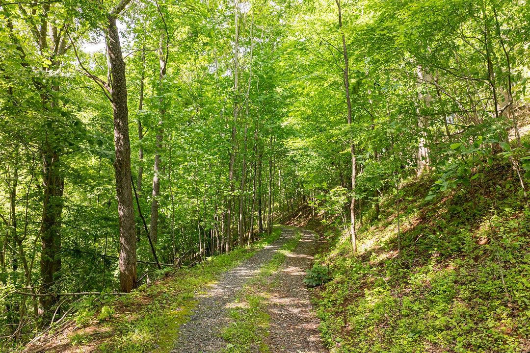 174 Stone Crossing Lane, Bakersville, North Carolina (MLS 4130409)