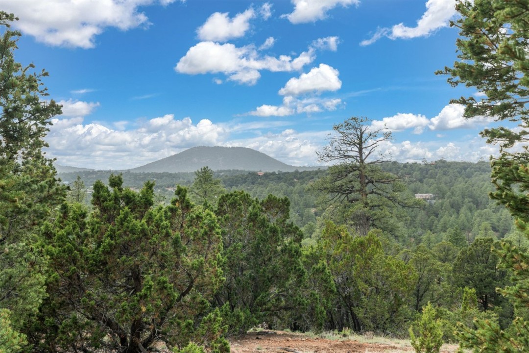 87 Quartz Trail, Santa Fe, New Mexico (MLS 202401859)