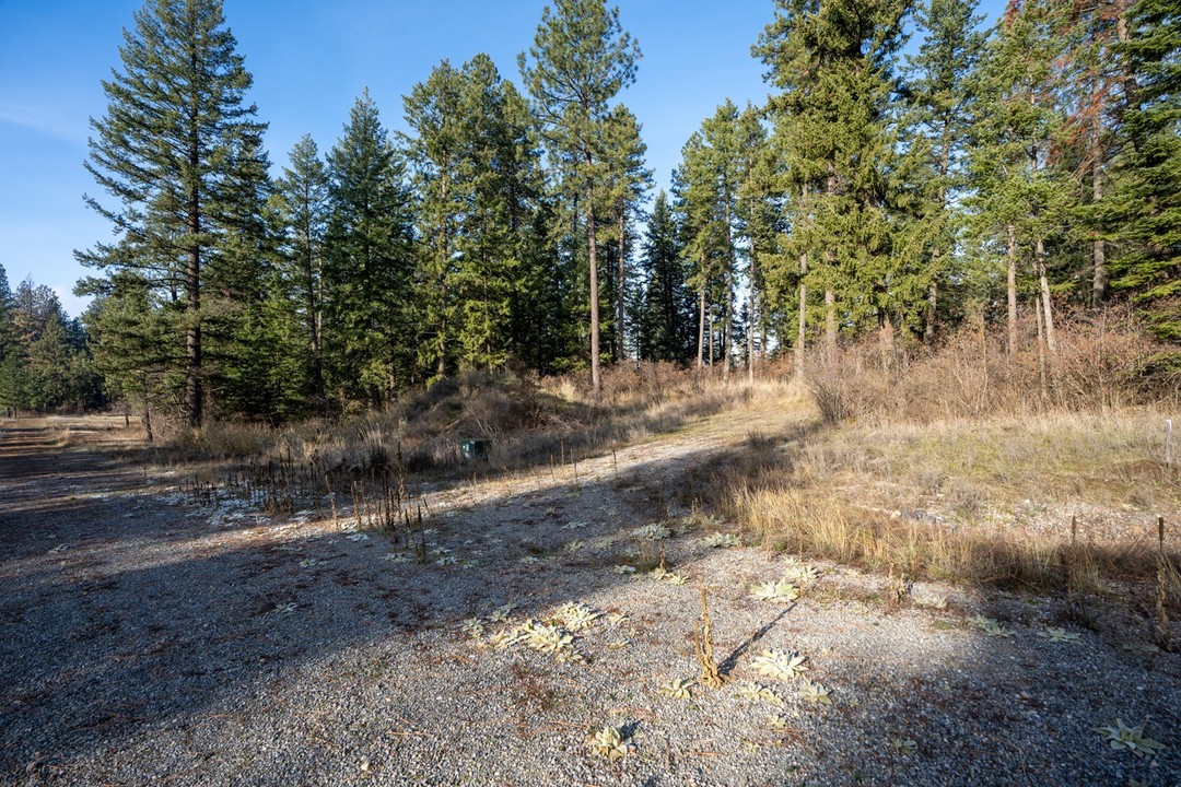 Lot 2 Riddle, Harrison, Idaho (MLS 24-5037)