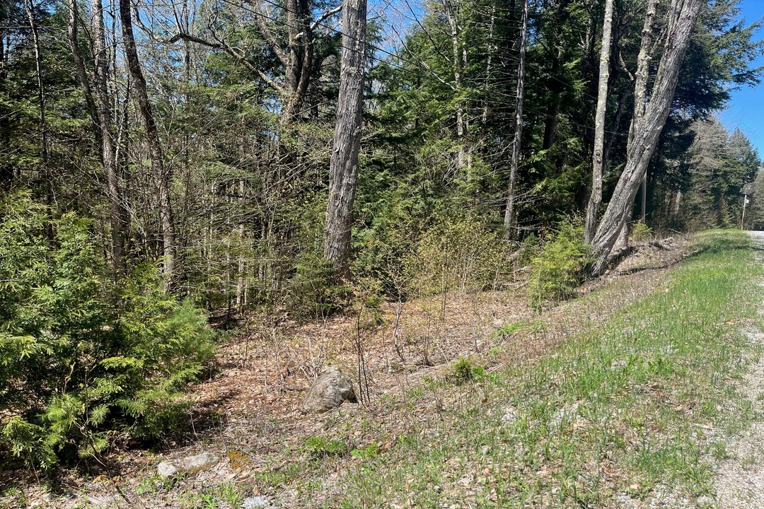 4 and 4A Hawk Spur Road, Plymouth, Vermont (MLS 4995372)