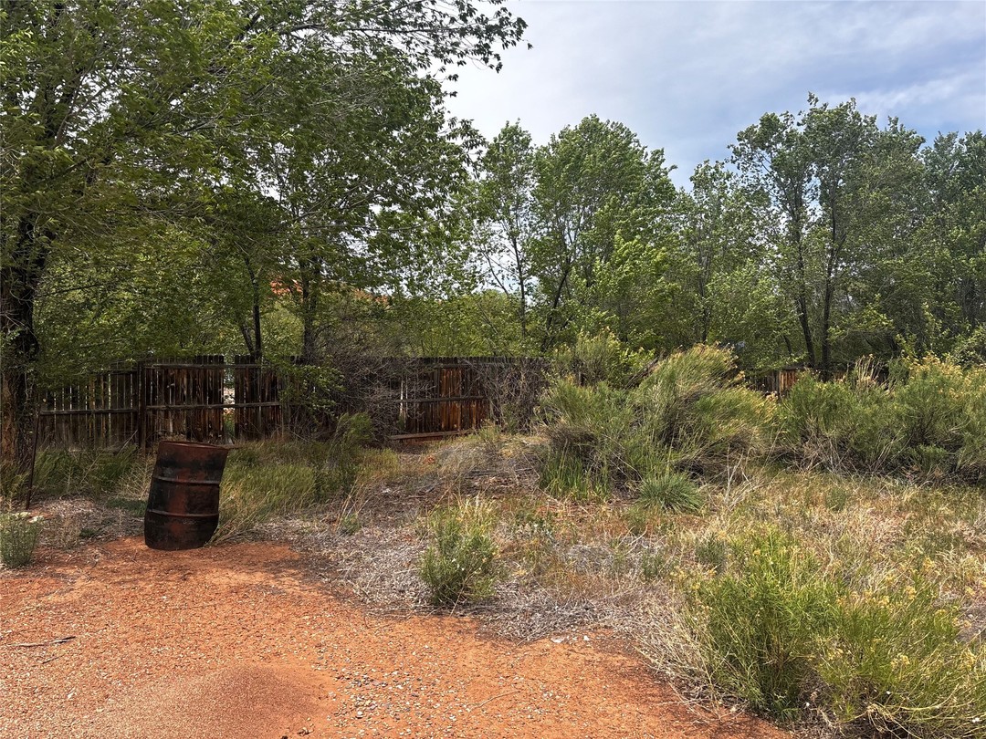3164 State Road 96, Coyote, New Mexico (MLS 202402199)