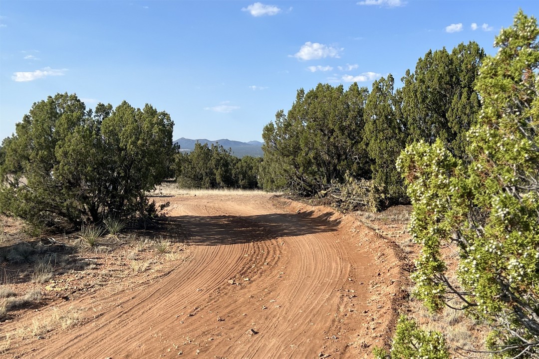 14 Camino Los Abuelos, Santa Fe, New Mexico (MLS 202401649)