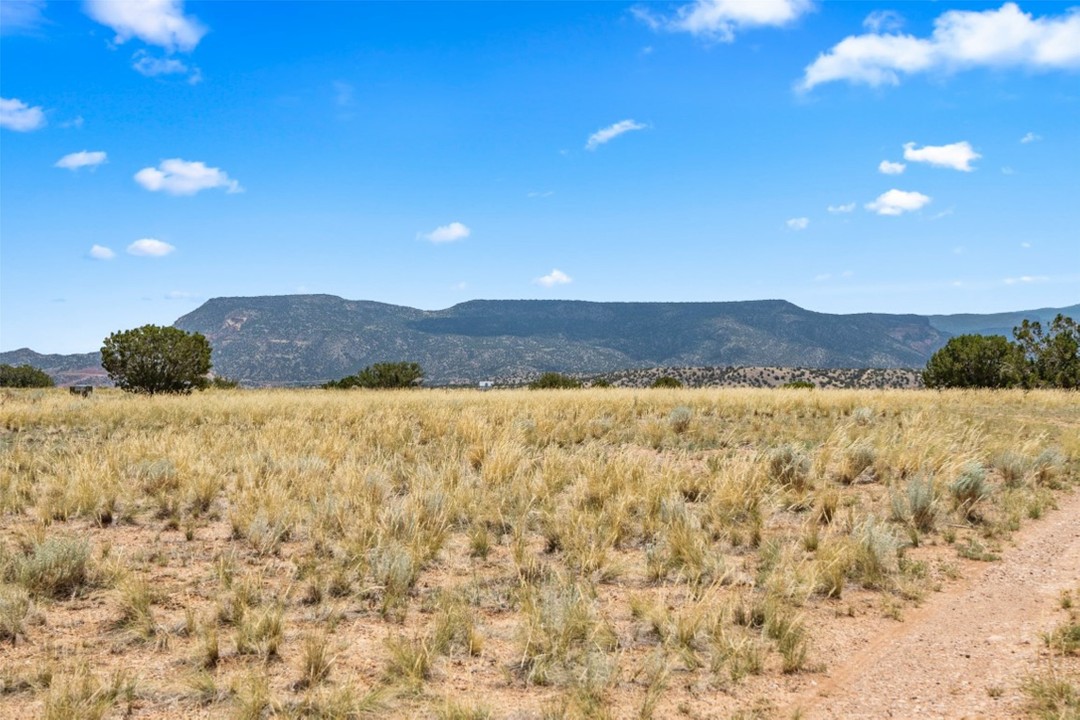 0 Shining Stone, Youngsville, New Mexico (MLS 202402259)