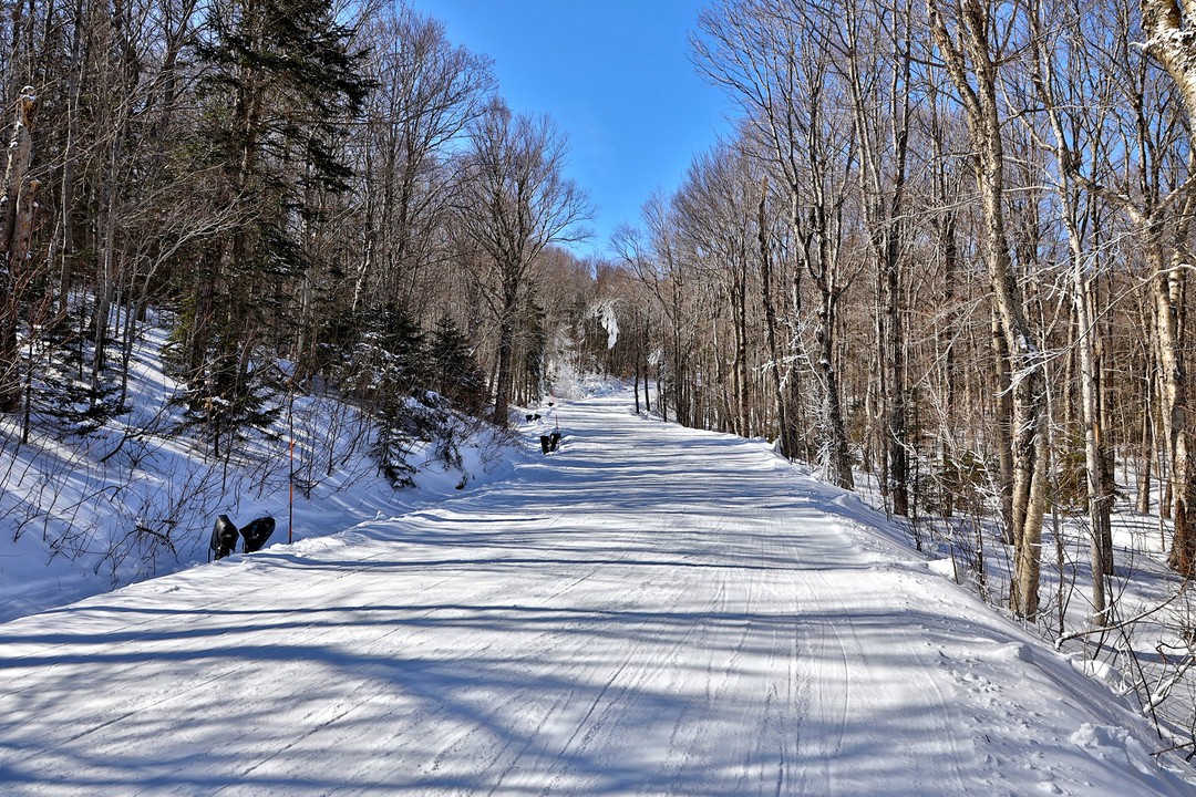 1300 Mountain Road, Ludlow, Vermont (MLS 4968044)