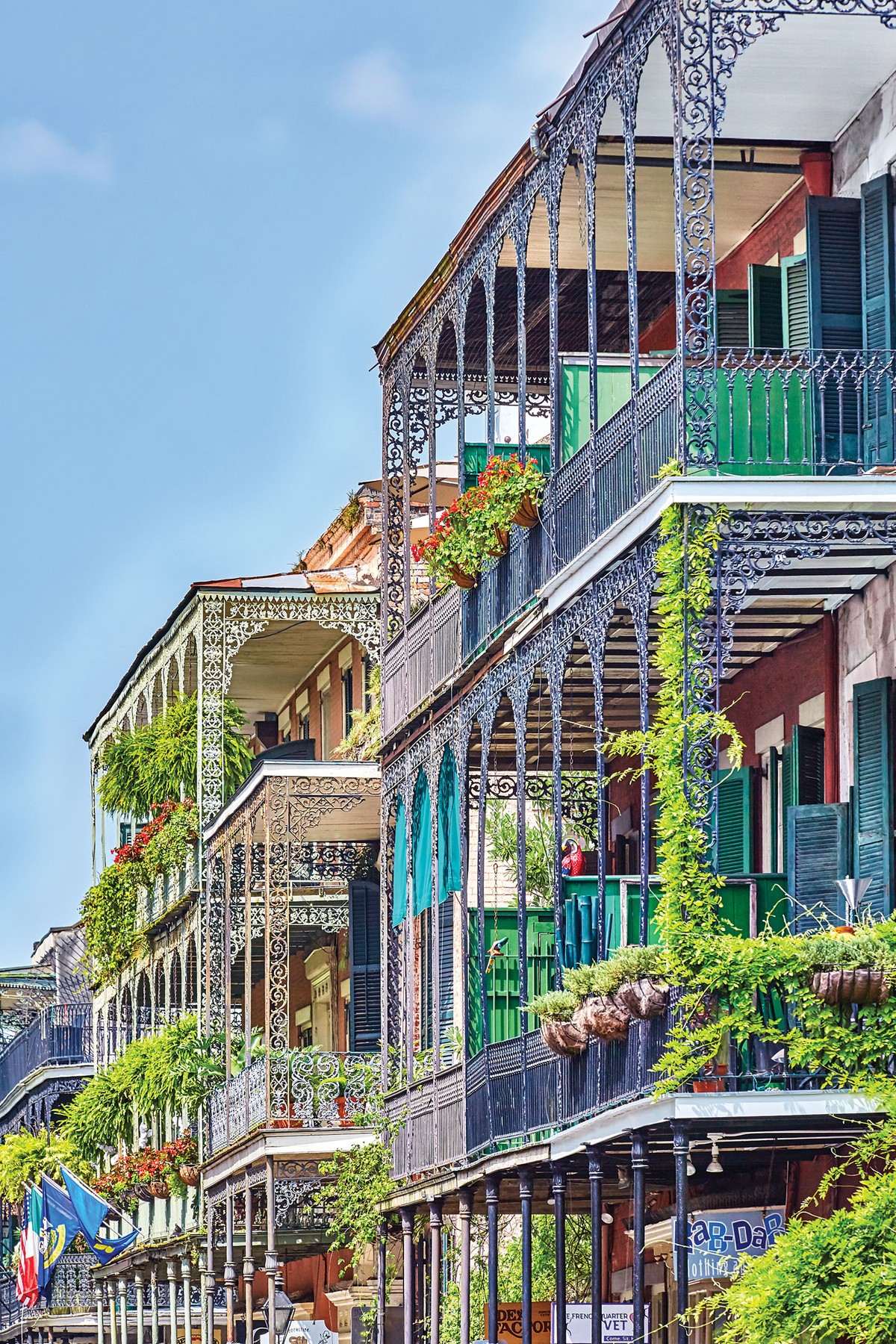 In New Orleans, wrought-iron lace balconies shine.