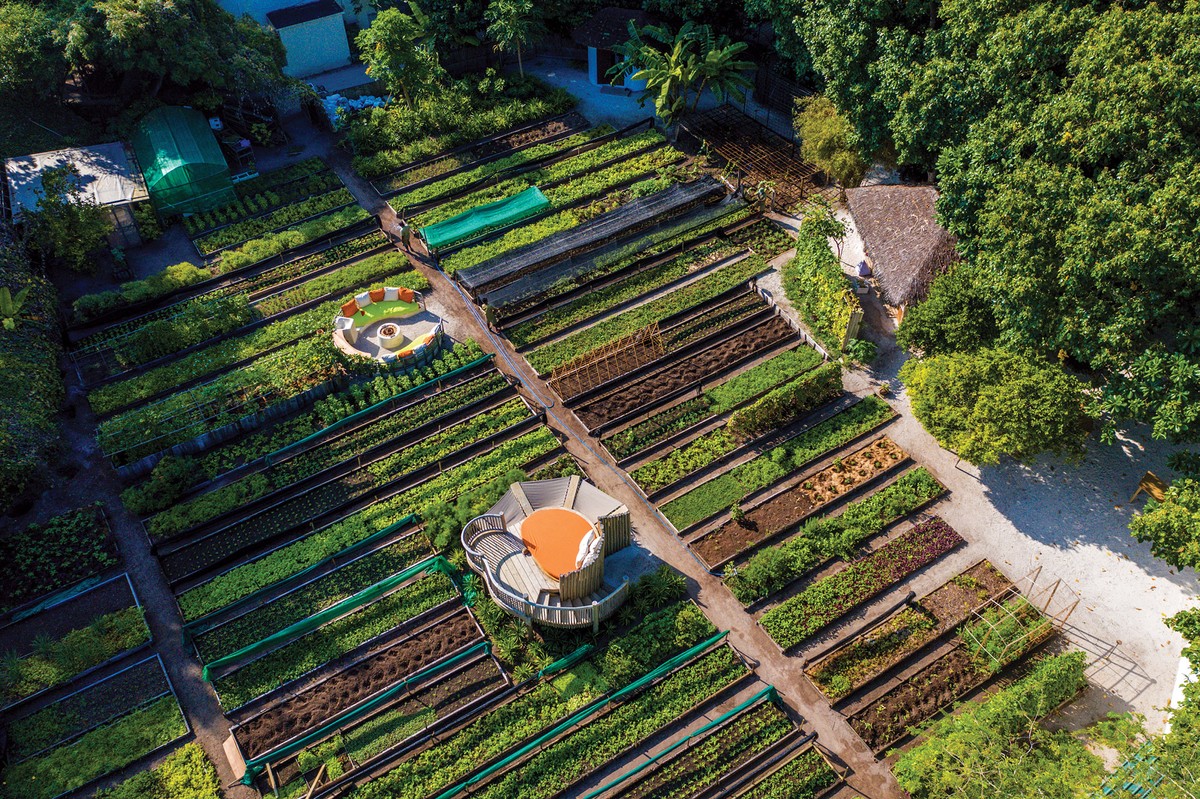 A garden tour, harvesting, and dining experience